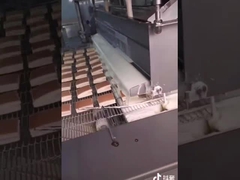 Reine Schokoladen-Überziehmaschine 5HP 1000mm mit Niveauschaltern